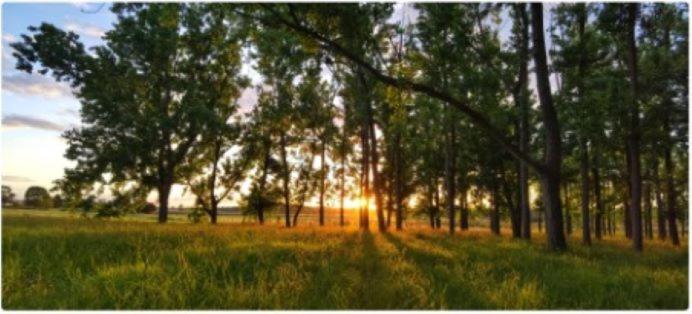 All Seasons Country Lodge Taree Extérieur photo