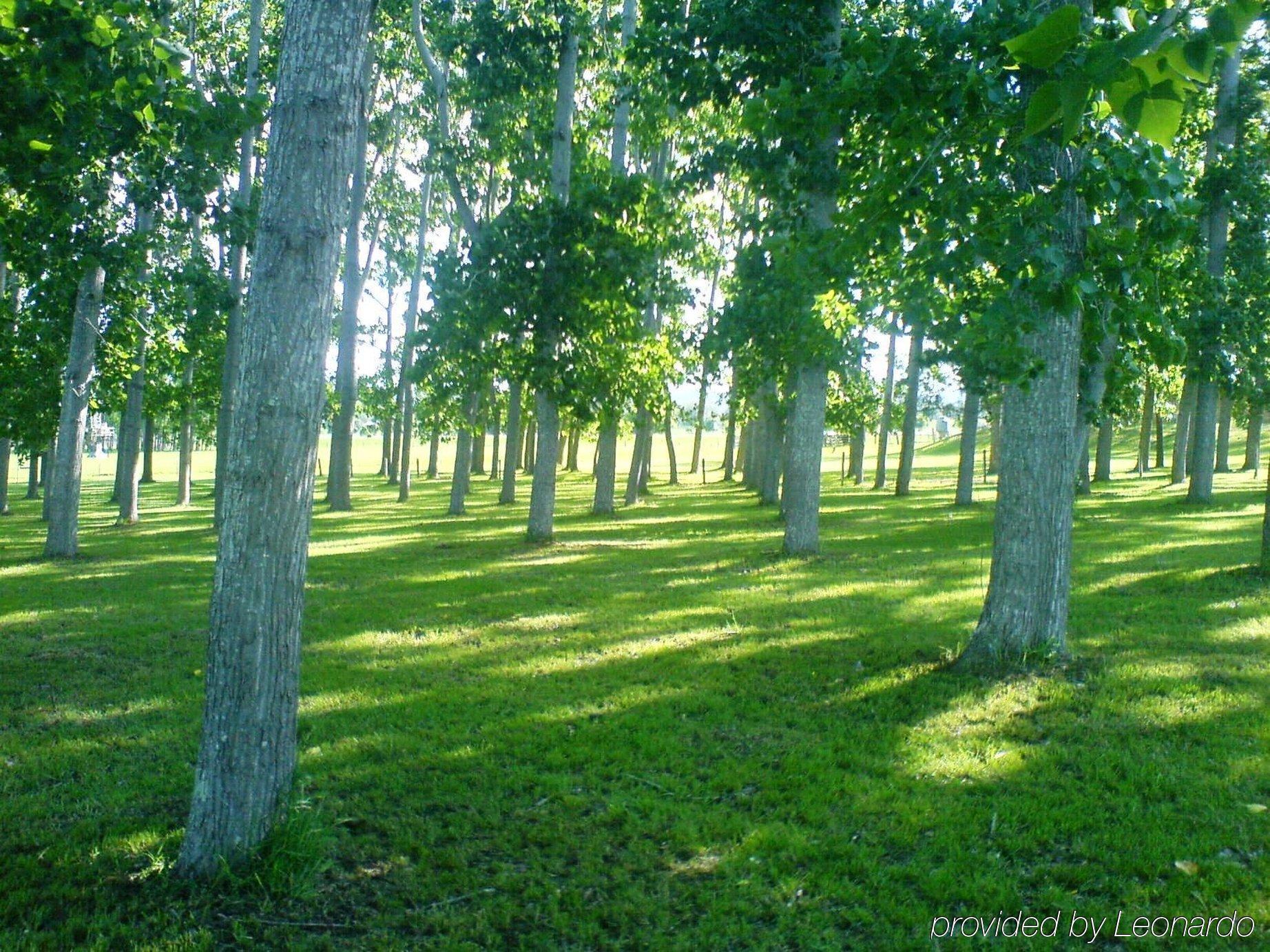 All Seasons Country Lodge Taree Extérieur photo